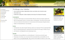 webdesign vergleich