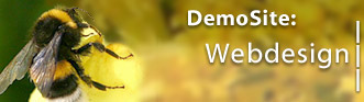 webdesign demos