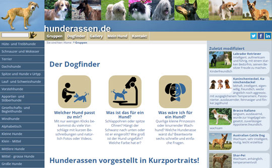Mobiles Webdesign