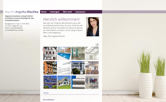 beesign: webdesign wien